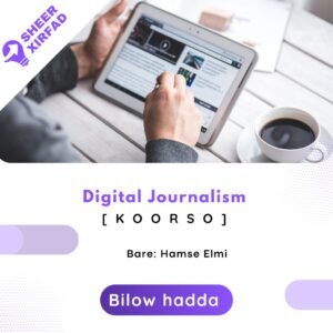 Digital Journalism